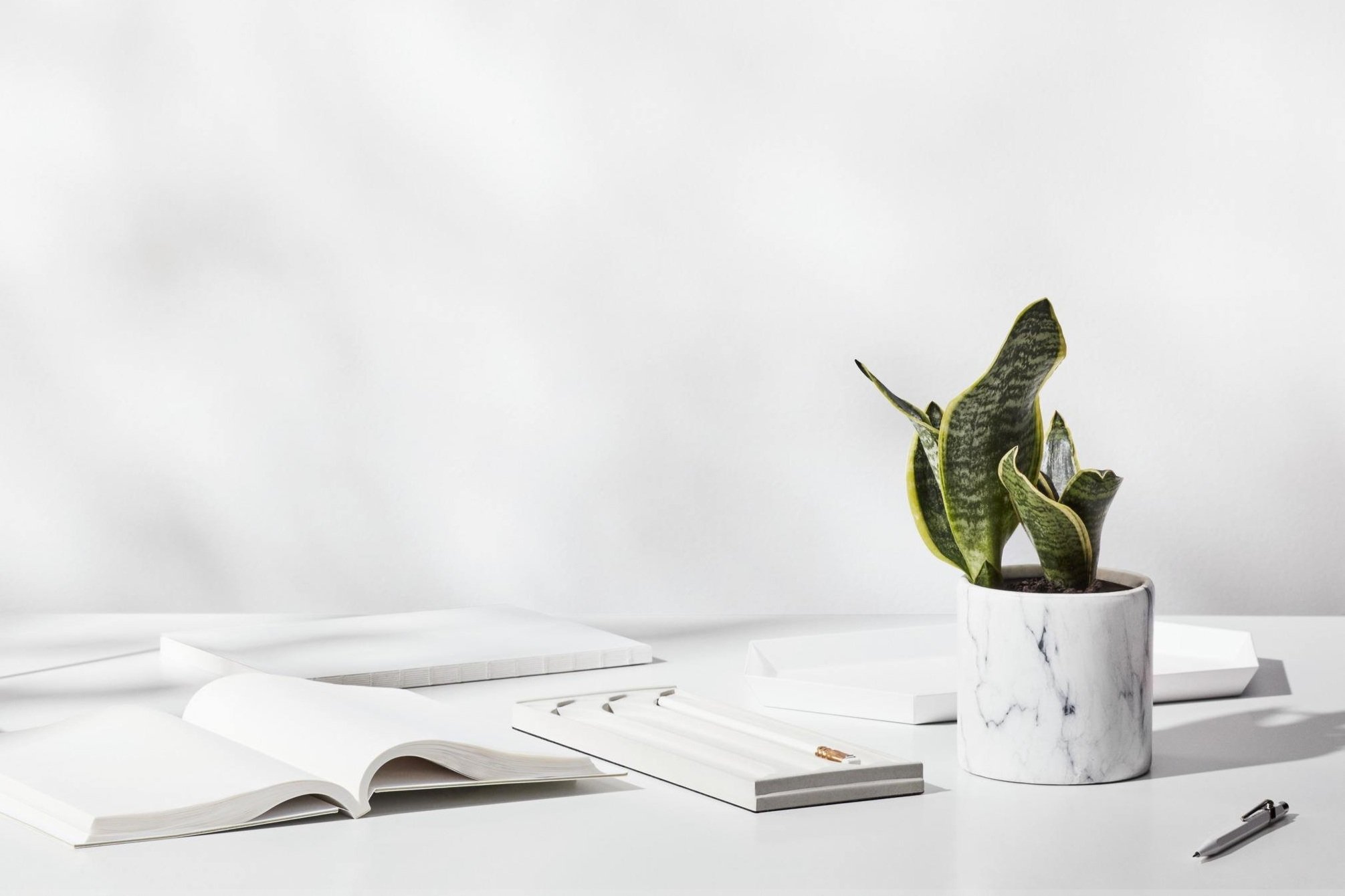 Plant on white desk with books and pencils